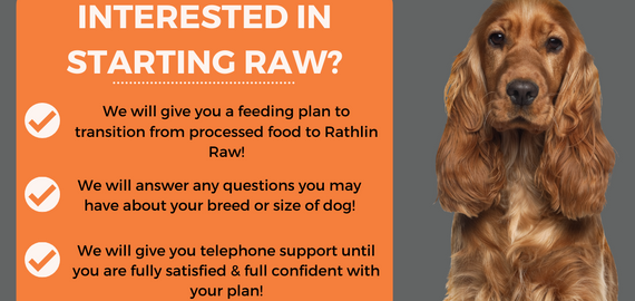 Rathlin Raw social media marketing post with dog