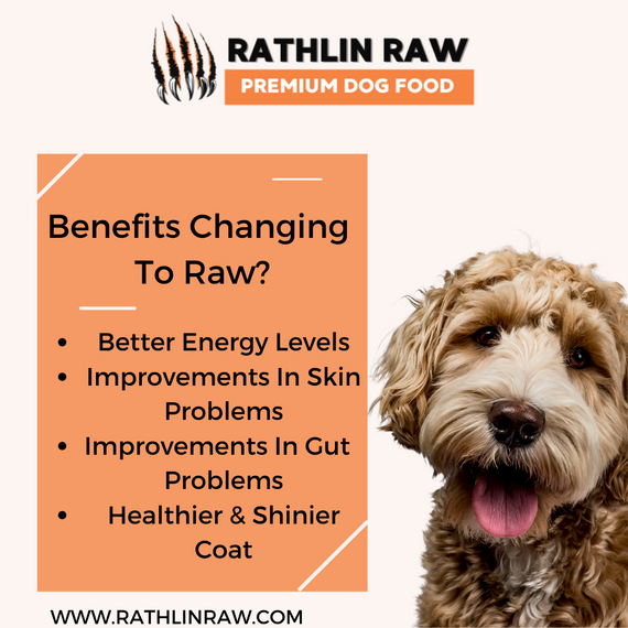 Rathlin Raw social media marketing post with dog